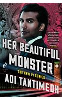 Her Beautiful Monster: The Ravi Pi Series