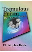 Tremulous Prism: Our Journey in Dementia