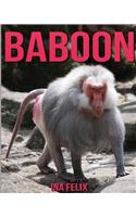 Baboon