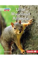 Little Woodland Animals