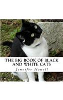 The Big Book of Black and White Cats