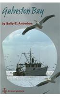 Galveston Bay