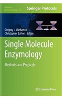 Single Molecule Enzymology: Methods and Protocols