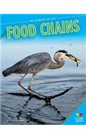 Food Chains
