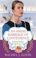 Amish Marriage of Convenience
