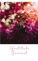 My Gratitude Journal