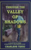 Through the Valley of Shadows