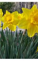 2019 Daily Planner Daffodils Spring Flowers 384 Pages: (2019 Planners Calendars Organizers Datebooks Appointment Books Agendas)