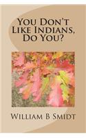 You Don't Like Indians, Do You?