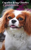 CAVALIER KING CHARLES SPANIELS SLIM D 20