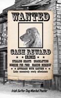 Irish Setter Dog Wanted Poster