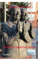 Statui Usor Fisurate: Roman