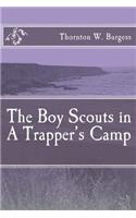 The Boy Scouts in A Trapper's Camp