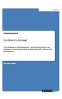 Is ethnicity destiny?