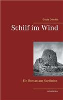 Schilf im Wind