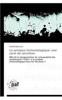 La Synapse Immunologique