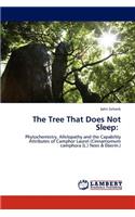 The Tree That Does Not Sleep