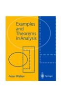 Examples and Theorems in Analysis: Mathematics
