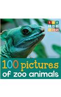 100 Pictures of Zoo Animals