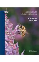 Il Ronzio Delle API