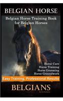Belgian Horse, Belgian Horse Training Book for Belgian Horses, Horse Care, Horse Training, Horse Grooming, Horse Groundwork, Easy Training, Professional Results, Belgians