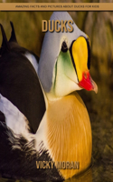 Ducks