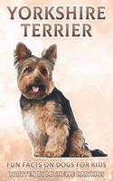 Yorkshire Terrier: Fun Facts on Dogs for Kids #9