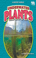 Underwater Plants: (A Watery World)