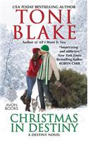 Christmas in Destiny: A Destiny Novel(7 Destiny)