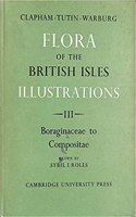 Flora of the British Isles, Part 3, Boraginaceae-Compositae