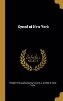 Synod of New York