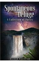 Spontaneous Deluge