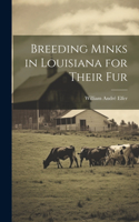 Breeding Minks in Louisiana for Their fur