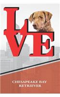 Chesapeake Bay Retriever: Dog Love Park Blank Comic Book Journal Notebook Book Is 120 Pages 6x9