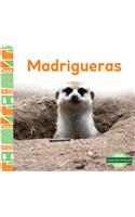 Madrigueras (Burrows)