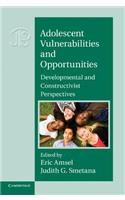 Adolescent Vulnerabilities and Opportunities