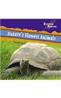 Nature's Slowest Animals