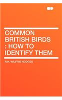 Common British Birds: How to Identify Them