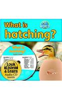 What Is Hatching? - CD + Hc Book - Package