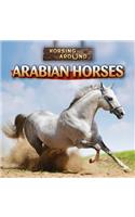 Arabian Horses