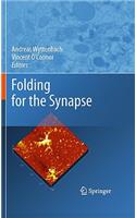 Folding for the Synapse