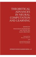 Theoretical Advances in Neural Computation and Learning