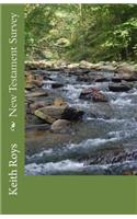 New Testament Survey