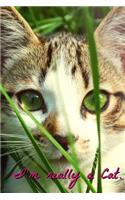 I'm Really a Cat Journal/Diary/Lined Notebook
