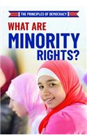 What Are Minority Rights?