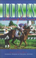 Horses Through Time