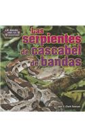 Las Serpientes de Cascabel de Bandas (Timber Rattlesnakes)