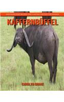 Kaffernbüffel: Erstaunliche Bilder und lustige Fakten für Kinder