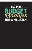 I'm A Budget Analyst Not A Magician