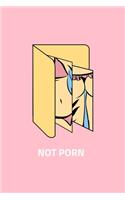 Not Porn